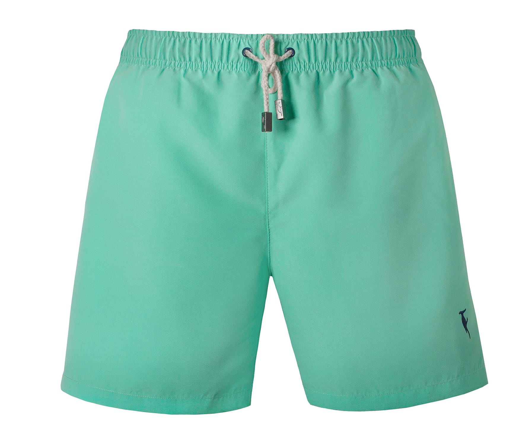 swim shorts image
